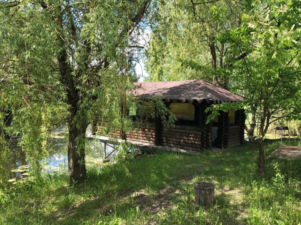 Frühstückspension глубочица Schytomyr